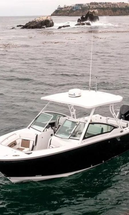 Blackfin272DC_PalmBeach (17)(1)