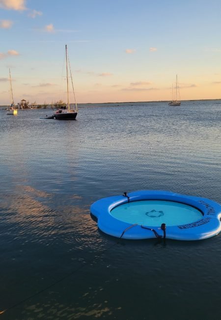 D_Antonio_50ft PalmBeach (3)